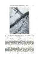 giornale/TO00216443/1933/unico/00000255