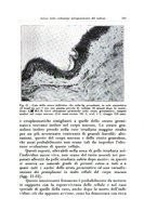 giornale/TO00216443/1933/unico/00000267