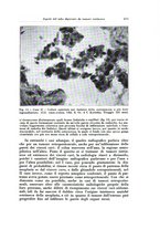 giornale/TO00216443/1933/unico/00000519