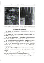 giornale/TO00216443/1933/unico/00000613