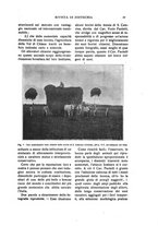 giornale/TO00216864/1924/unico/00000027