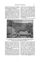 giornale/TO00216864/1924/unico/00000029