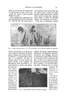 giornale/TO00216864/1924/unico/00000063
