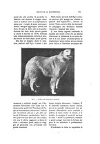 giornale/TO00216864/1924/unico/00000111