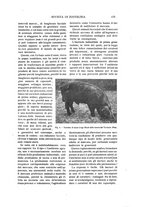 giornale/TO00216864/1924/unico/00000113