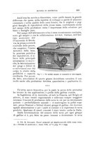 giornale/TO00216864/1926-1927/unico/00000021