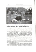 giornale/TO00216864/1926-1927/unico/00000084
