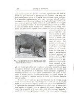 giornale/TO00216864/1926-1927/unico/00000086