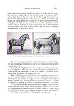 giornale/TO00216864/1926-1927/unico/00000133