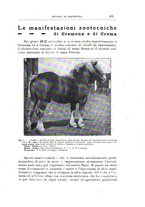 giornale/TO00216864/1926-1927/unico/00000181