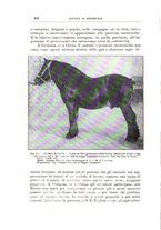 giornale/TO00216864/1926-1927/unico/00000182