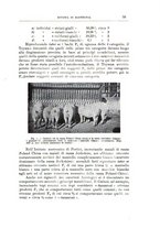 giornale/TO00216864/1926-1927/unico/00000285