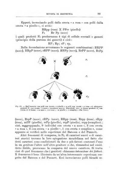 Rivista di zootecnia rassegna mensile di scienza e pratica zootecnica