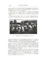 giornale/TO00216864/1926-1927/unico/00000416