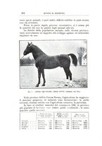 giornale/TO00216864/1926-1927/unico/00000500