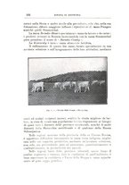 giornale/TO00216864/1926-1927/unico/00000554