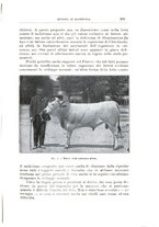 giornale/TO00216864/1926-1927/unico/00000579
