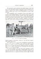 giornale/TO00216864/1926-1927/unico/00000611