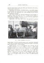 giornale/TO00216864/1926-1927/unico/00000616