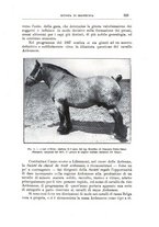 giornale/TO00216864/1926-1927/unico/00000667
