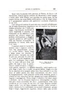 giornale/TO00216864/1926-1927/unico/00000835