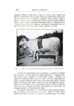 giornale/TO00216864/1926-1927/unico/00000836