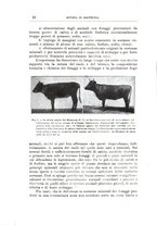 giornale/TO00216864/1928/unico/00000030