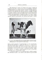 giornale/TO00216864/1928/unico/00000036