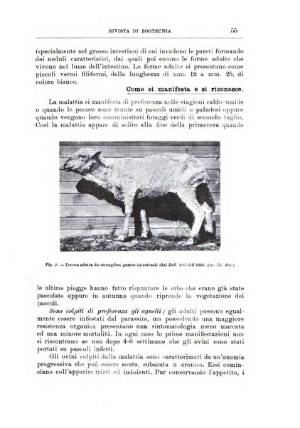 Rivista di zootecnia rassegna mensile di scienza e pratica zootecnica