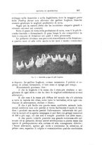 giornale/TO00216864/1928/unico/00000439