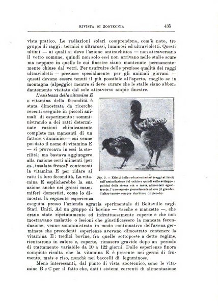 Rivista di zootecnia rassegna mensile di scienza e pratica zootecnica