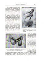 giornale/TO00216864/1928/unico/00000511