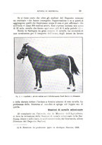 giornale/TO00216864/1929-1930/unico/00000025