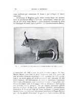giornale/TO00216864/1929-1930/unico/00000036