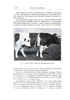 giornale/TO00216864/1929-1930/unico/00000134