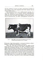 giornale/TO00216864/1929-1930/unico/00000137