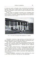 giornale/TO00216864/1929-1930/unico/00000271