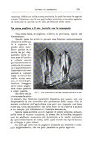 giornale/TO00216864/1931/unico/00000213