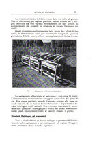 giornale/TO00216864/1932/unico/00000043