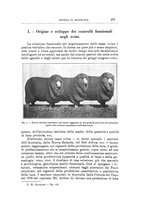 giornale/TO00216864/1932/unico/00000293