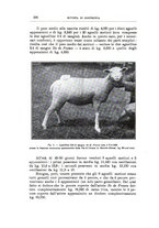 giornale/TO00216864/1932/unico/00000436