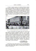 giornale/TO00216864/1932/unico/00000539