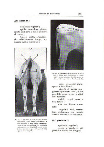 Rivista di zootecnia rassegna mensile di scienza e pratica zootecnica