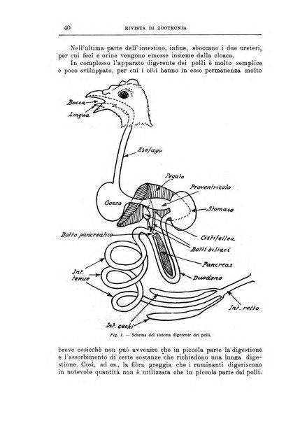 Rivista di zootecnia rassegna mensile di scienza e pratica zootecnica