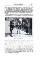 giornale/TO00216864/1933/unico/00000069