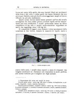 giornale/TO00216864/1933/unico/00000072