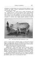 giornale/TO00216864/1933/unico/00000165