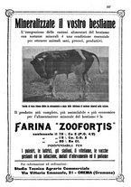 giornale/TO00216864/1933/unico/00000175