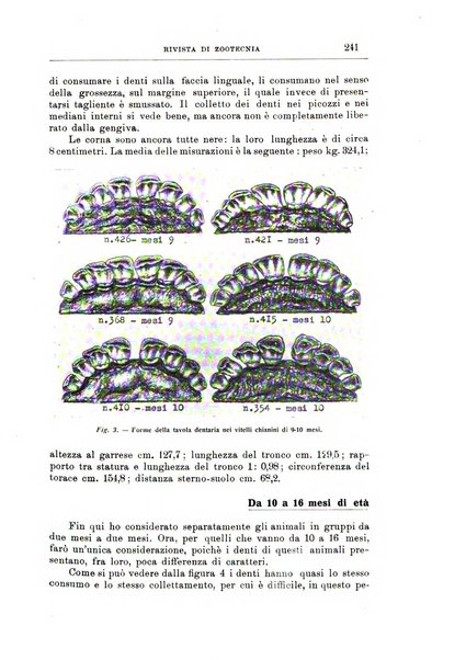 Rivista di zootecnia rassegna mensile di scienza e pratica zootecnica