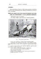 giornale/TO00216864/1933/unico/00000314